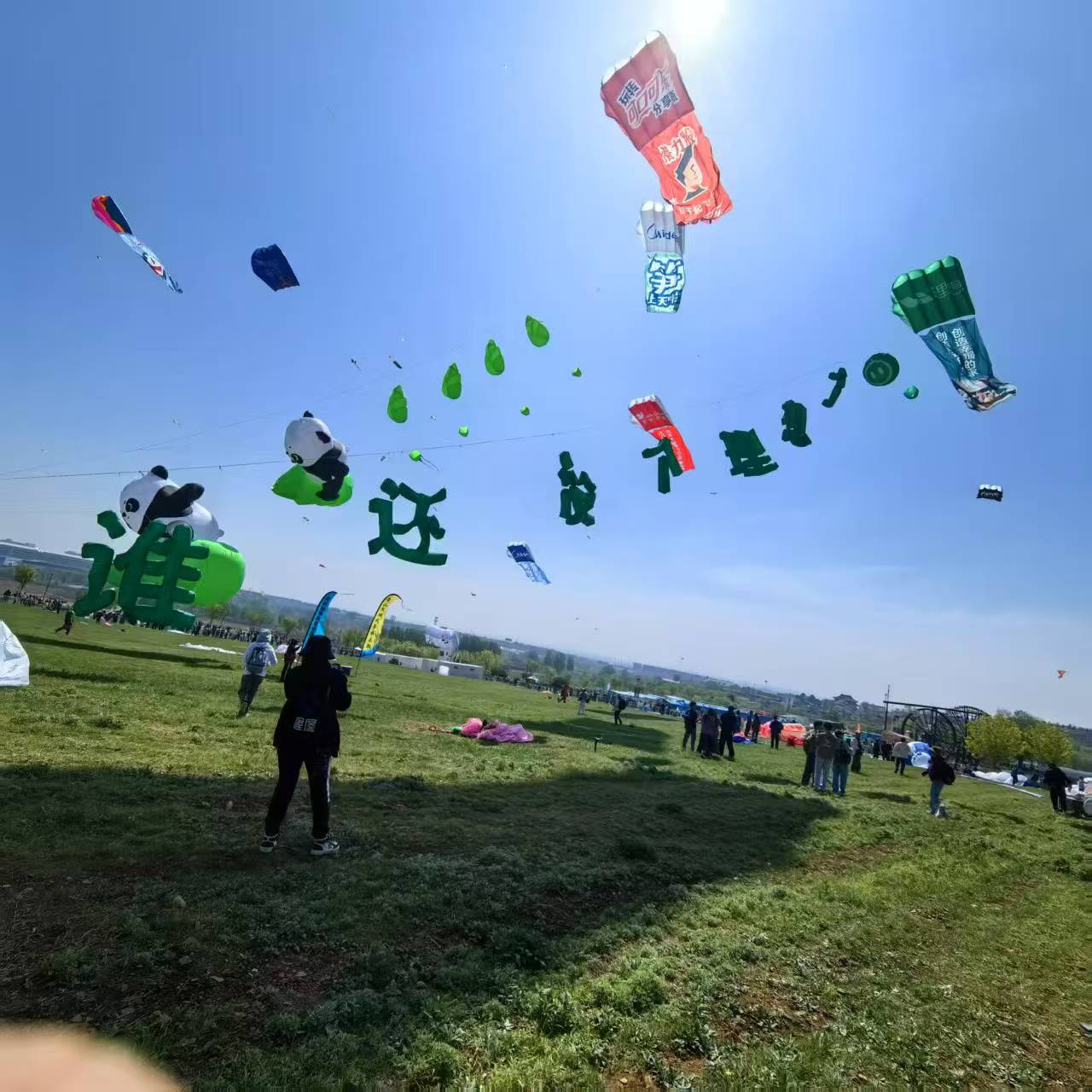 镇江市软体风筝定制风筝定制 - 推荐